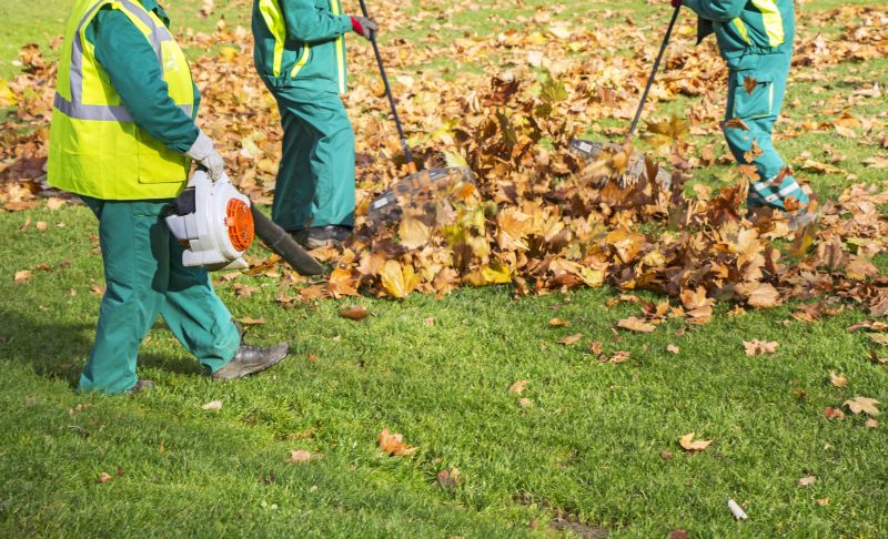 Removing Leaves from the Lawn