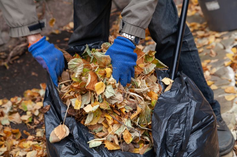 Clean Yard with Mulched Leaves
