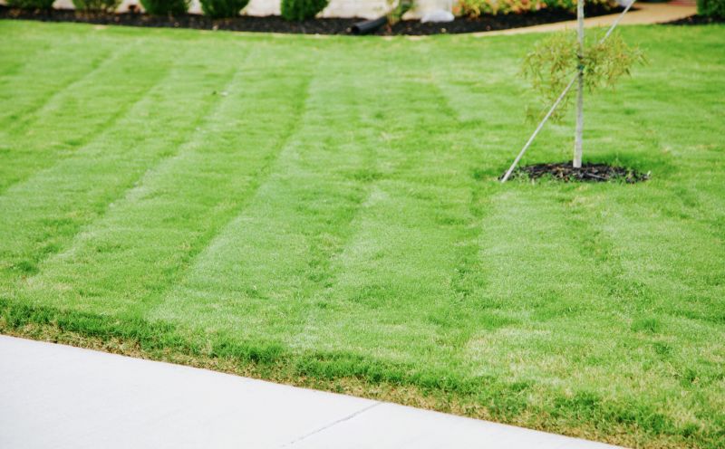 Healthy Lawn
