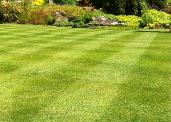 Commercial Grass Cutting in Huntsville