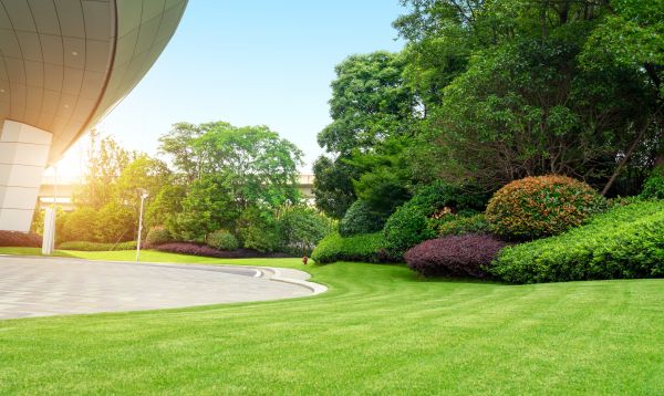 Commercial Lawn Care in Huntsville