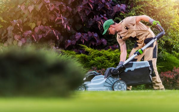 Lawn Care And Maintenance in Huntsville