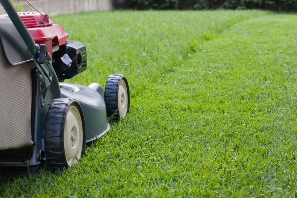 Lawn Care Service in Huntsville