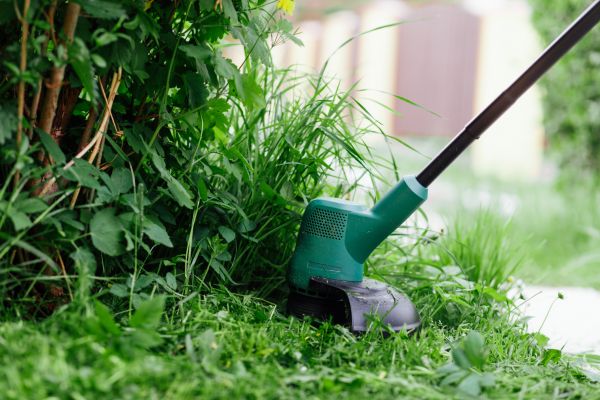 Weed Whacking in Huntsville