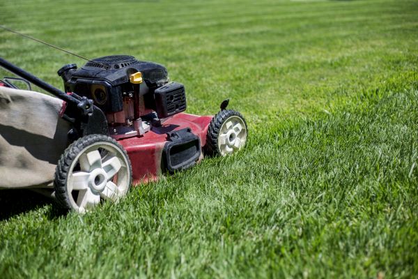Cost of Routine Lawn Care in Huntsville