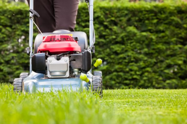 Grass Trimming Service in Huntsville