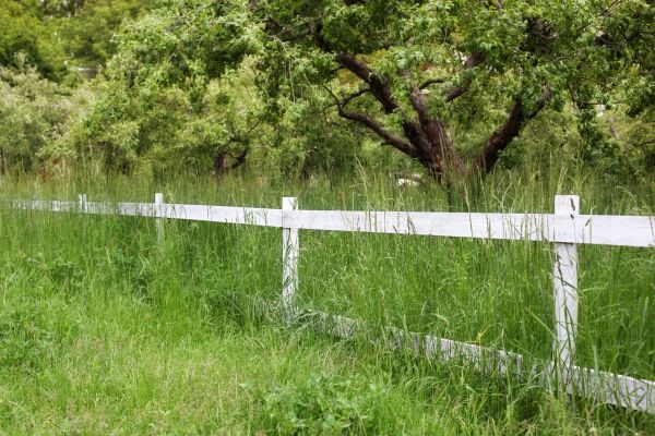 Cost of Fence Line Trimming in Huntsville