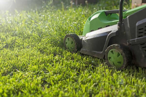 Cost of Yard Trimming in Huntsville